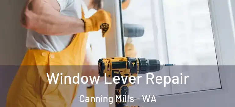 Window Lever Repair Canning Mills - WA