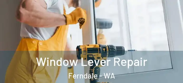  Window Lever Repair Ferndale - WA