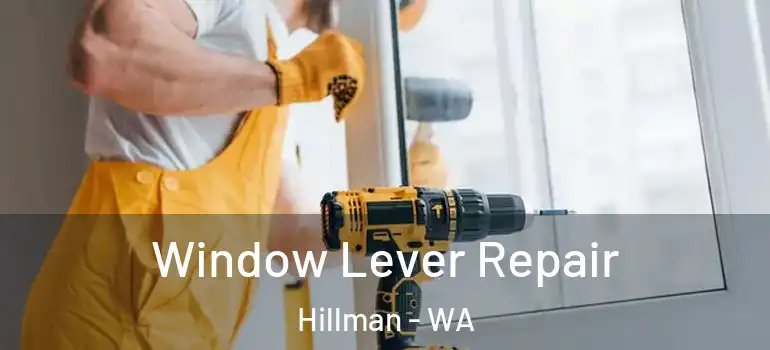  Window Lever Repair Hillman - WA