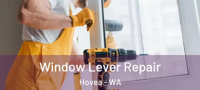  Window Lever Repair Hovea - WA