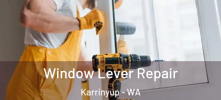 Window Lever Repair Karrinyup - WA