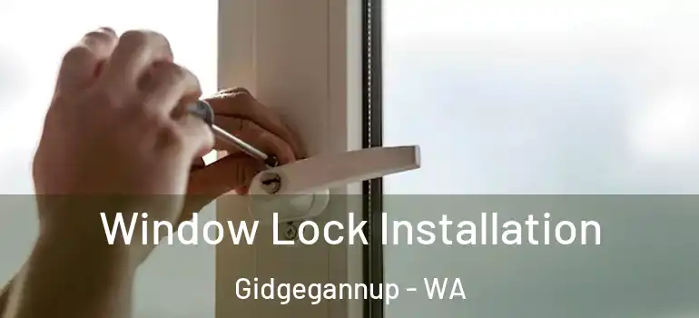 Window Lock Installation Gidgegannup - WA