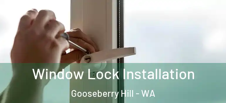 Window Lock Installation Gooseberry Hill - WA