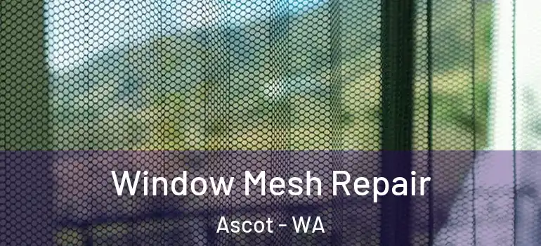 Window Mesh Repair Ascot - WA