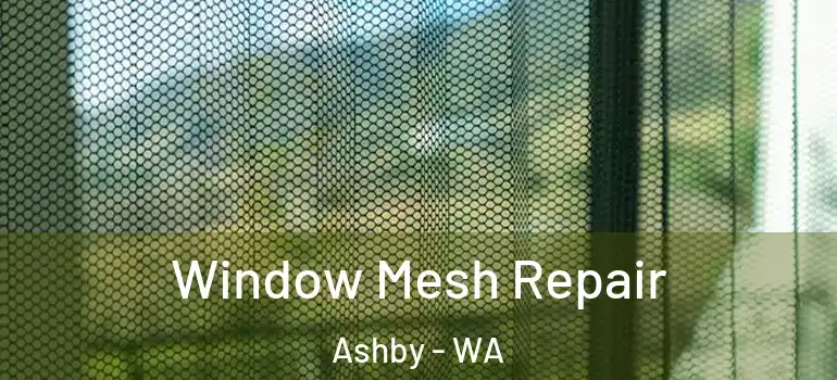 Window Mesh Repair Ashby - WA