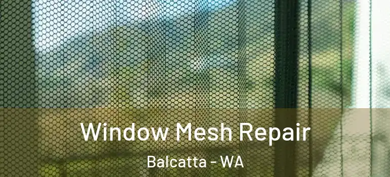  Window Mesh Repair Balcatta - WA