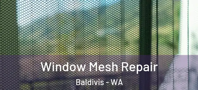 Window Mesh Repair Baldivis - WA