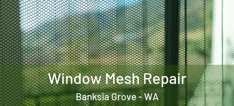 Window Mesh Repair Banksia Grove - WA