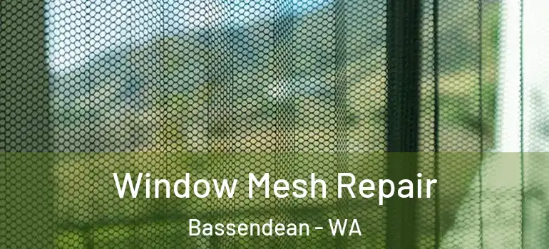Window Mesh Repair Bassendean - WA