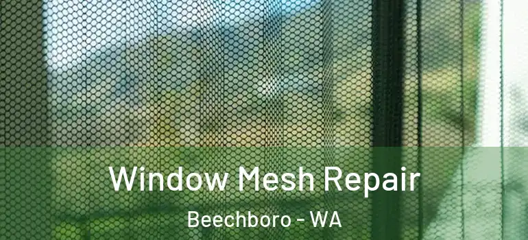 Window Mesh Repair Beechboro - WA