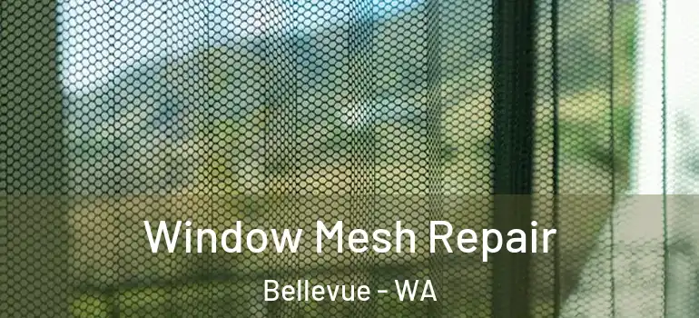 Window Mesh Repair Bellevue - WA