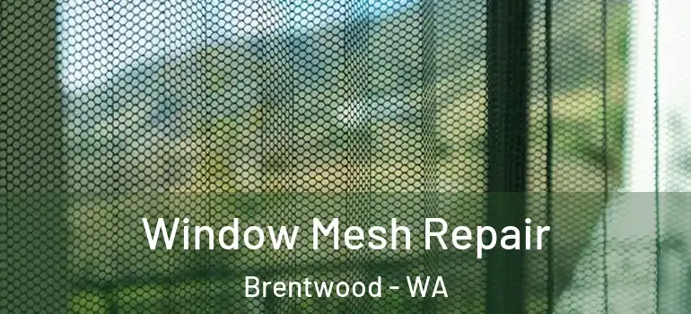 Window Mesh Repair Brentwood - WA