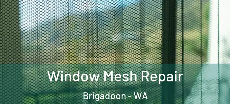 Window Mesh Repair Brigadoon - WA