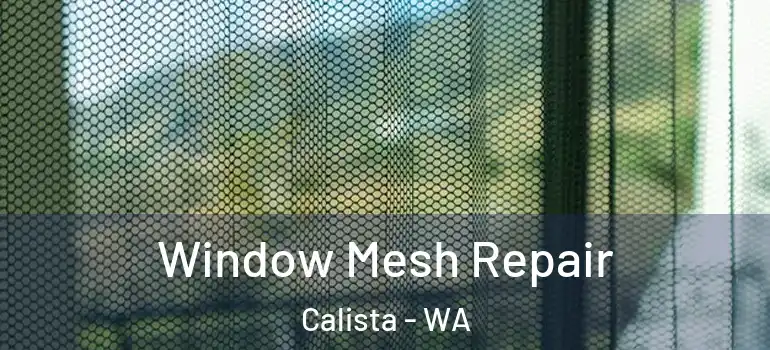 Window Mesh Repair Calista - WA