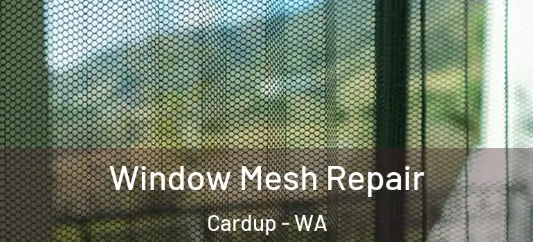  Window Mesh Repair Cardup - WA