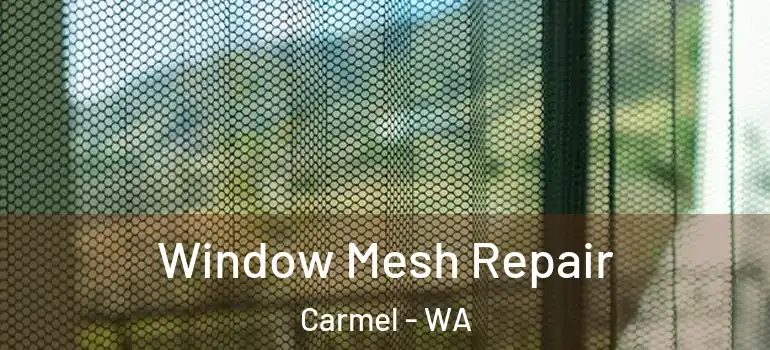 Window Mesh Repair Carmel - WA