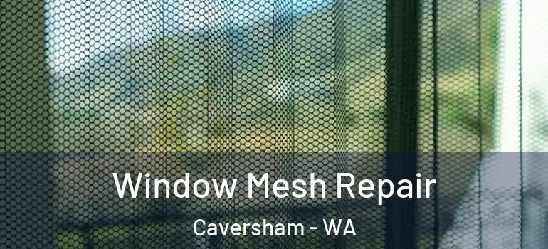 Window Mesh Repair Caversham - WA