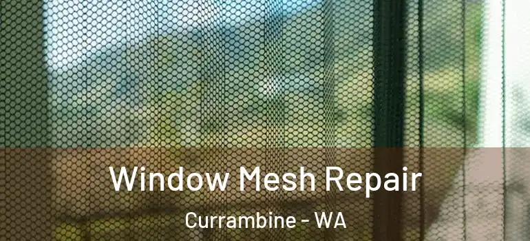 Window Mesh Repair Currambine - WA