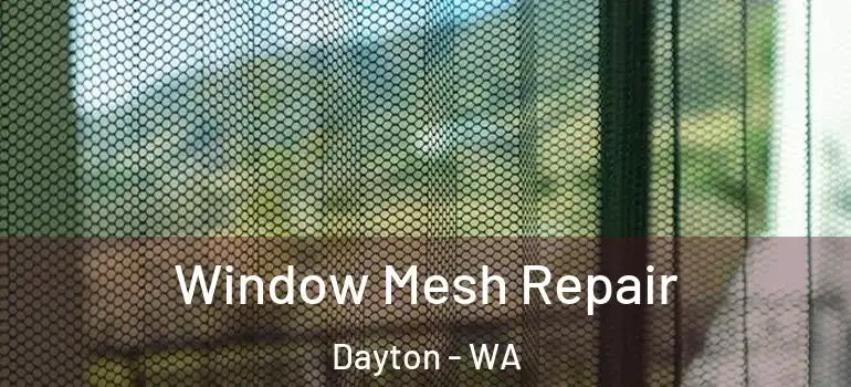 Window Mesh Repair Dayton - WA
