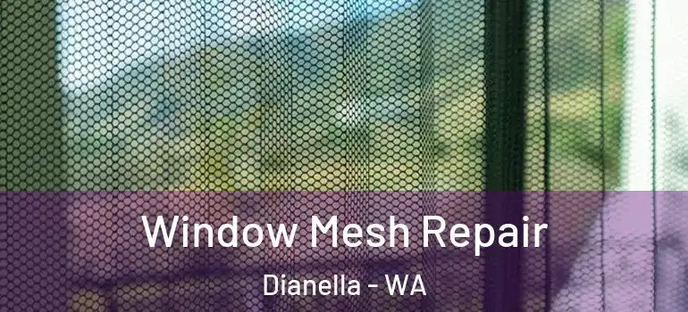 Window Mesh Repair Dianella - WA