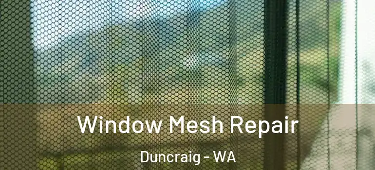 Window Mesh Repair Duncraig - WA