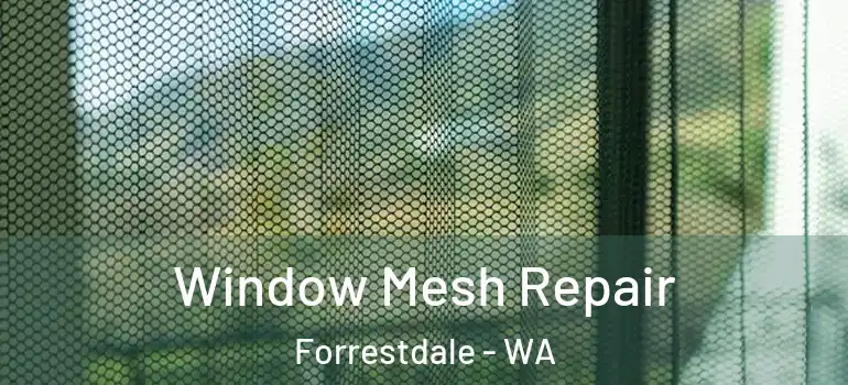 Window Mesh Repair Forrestdale - WA