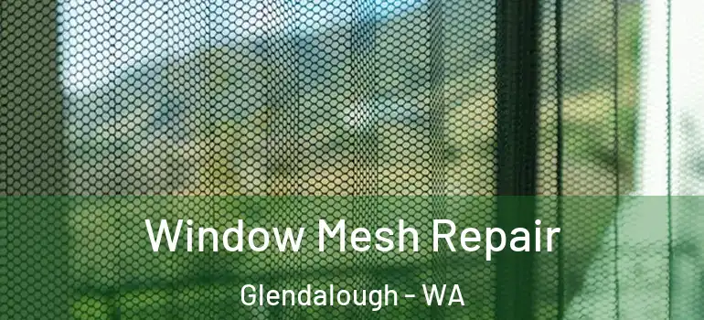 Window Mesh Repair Glendalough - WA
