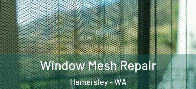 Window Mesh Repair Hamersley - WA