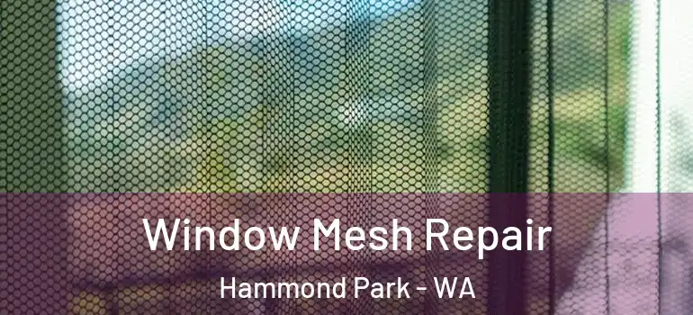 Window Mesh Repair Hammond Park - WA