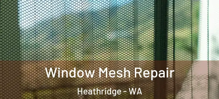 Window Mesh Repair Heathridge - WA