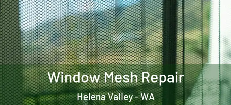 Window Mesh Repair Helena Valley - WA