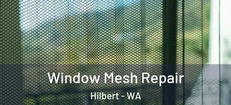 Window Mesh Repair Hilbert - WA