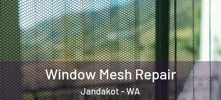 Window Mesh Repair Jandakot - WA