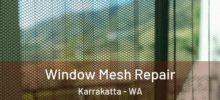 Window Mesh Repair Karrakatta - WA