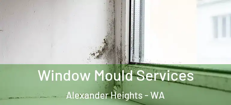  Window Mould Services Alexander Heights - WA