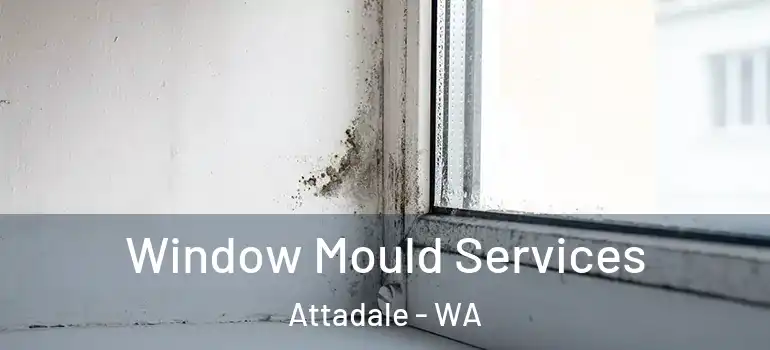  Window Mould Services Attadale - WA