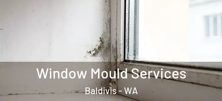  Window Mould Services Baldivis - WA