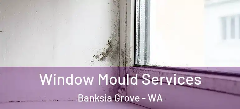 Window Mould Services Banksia Grove - WA