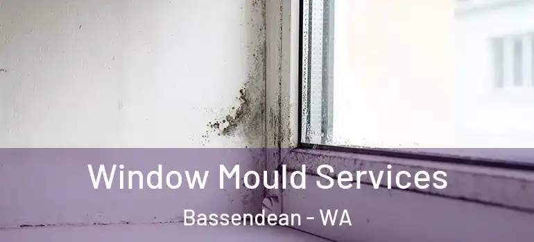  Window Mould Services Bassendean - WA