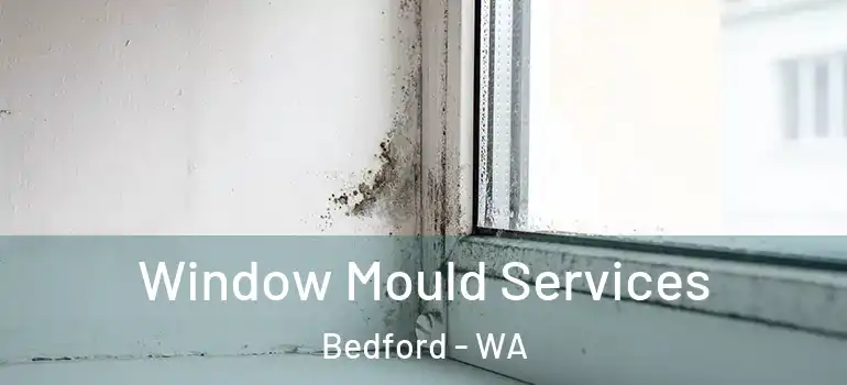  Window Mould Services Bedford - WA