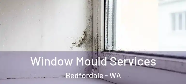 Window Mould Services Bedfordale - WA