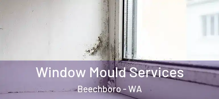  Window Mould Services Beechboro - WA