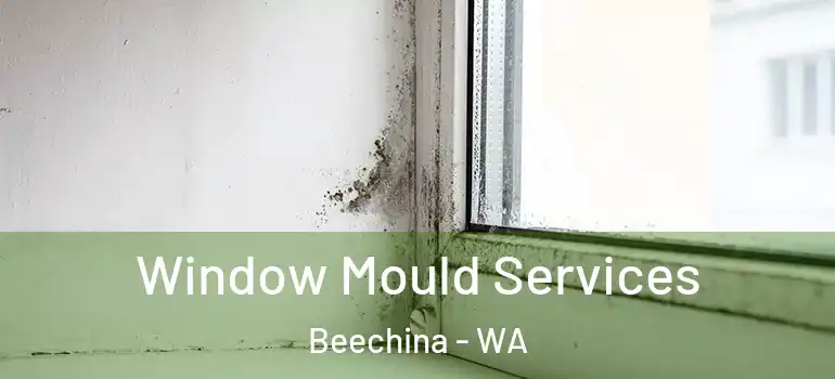  Window Mould Services Beechina - WA