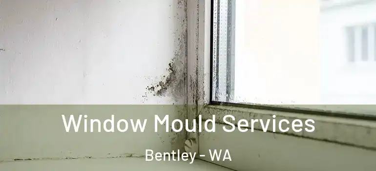 Window Mould Services Bentley - WA