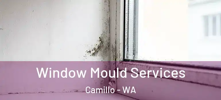 Window Mould Services Camillo - WA