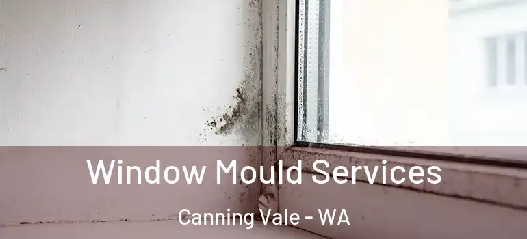  Window Mould Services Canning Vale - WA