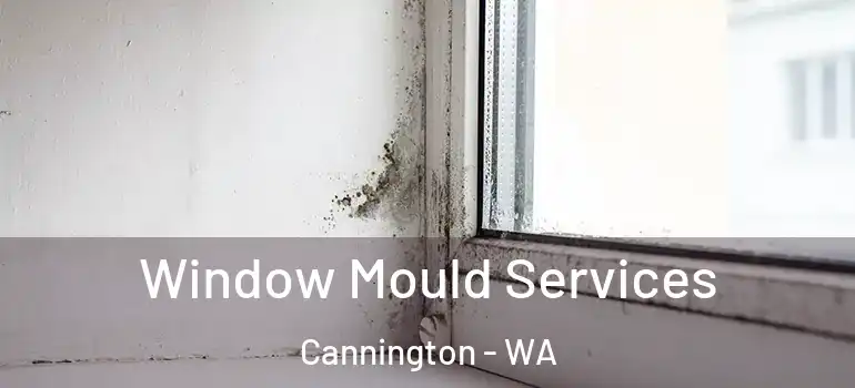  Window Mould Services Cannington - WA