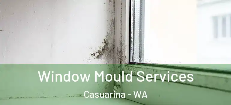 Window Mould Services Casuarina - WA