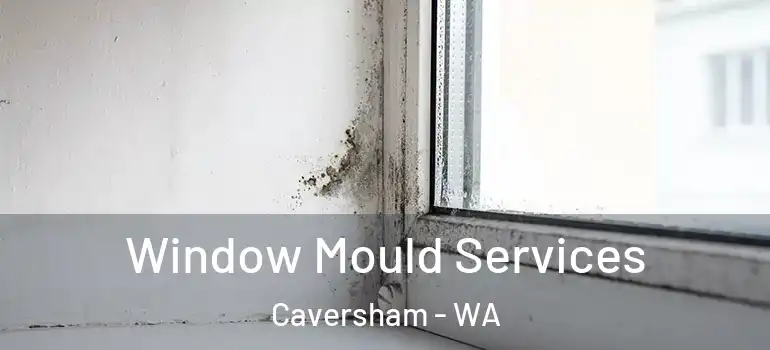 Window Mould Services Caversham - WA