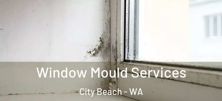  Window Mould Services City Beach - WA